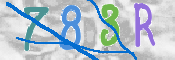 Immagine CAPTCHA